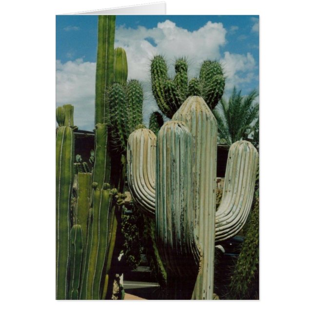Cactus Card (Vorne)