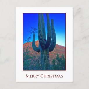 Cactus Christmas Holiday Card Feiertagspostkarte