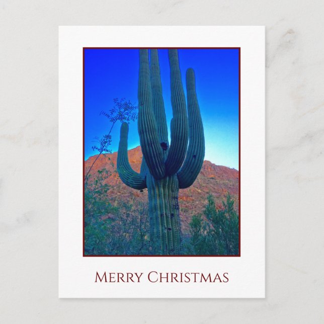Cactus Christmas Holiday Card Feiertagspostkarte (Vorderseite)