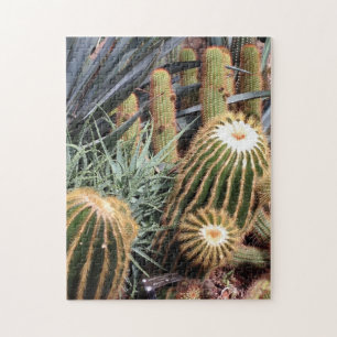 Cactus Desert Arid Garden Nature Puzzle