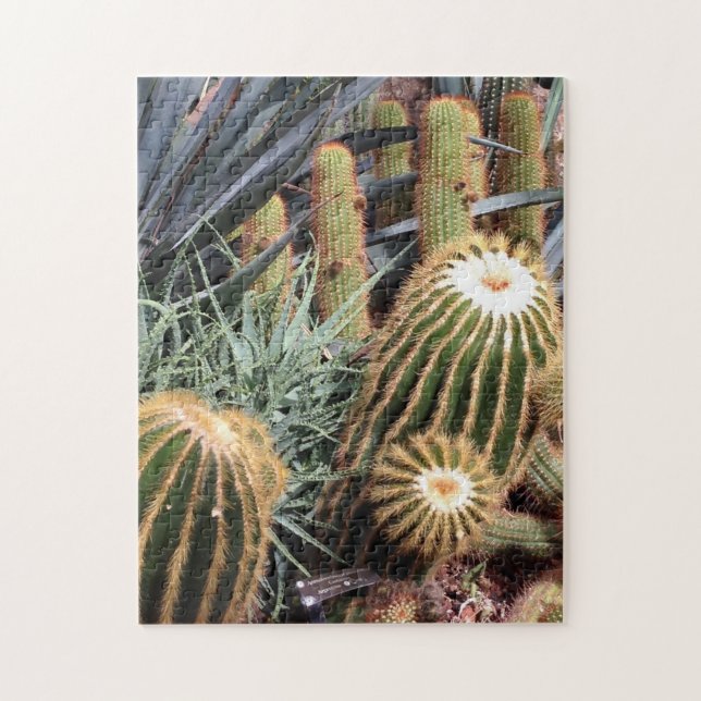 Cactus Desert Arid Garden Nature Puzzle (Vertikal)