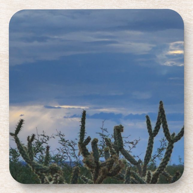 Cactus Desert Monsoon Getränkeuntersetzer (Vorderseite)