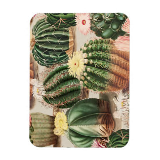 Cactus Design Flexible Foto Magnet