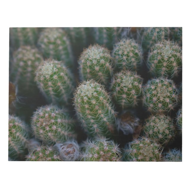 Cactus Family Notizblock (Vorderseite)