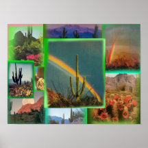 Cactus Film Collage Poster