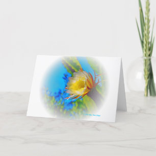 “Cactus Flower #73 Fade” Print Karte