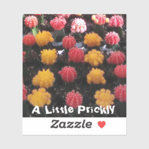 Cactus Fruit Aufkleber