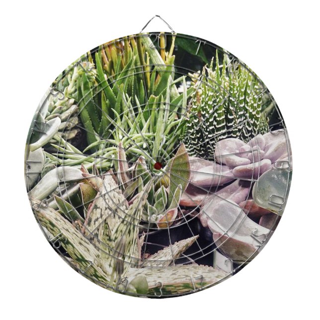Cactus Garden Dartscheibe (vorne)