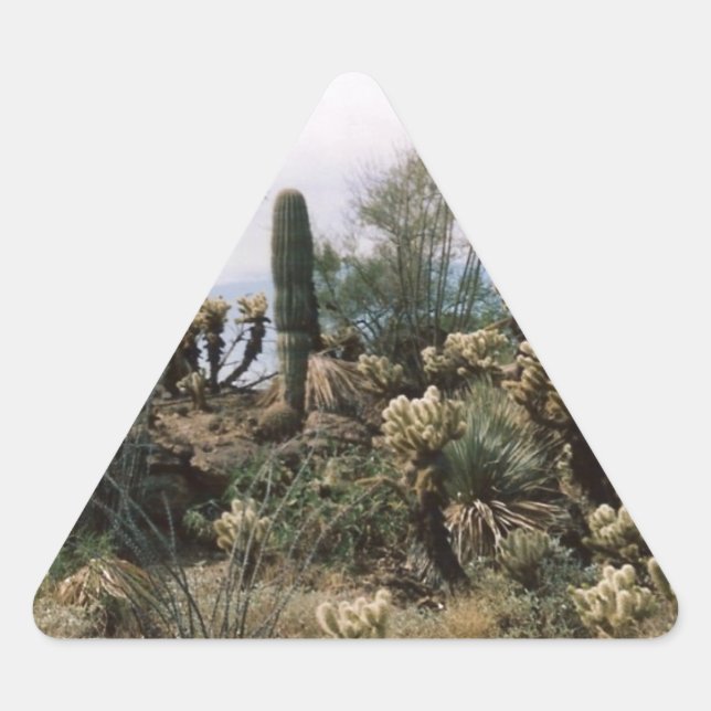 Cactus Garden Dreieckiger Aufkleber (Vorderseite)