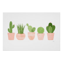 Cactus Garden