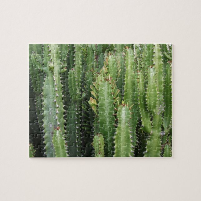 Cactus Garden Puzzle (Horizontal)