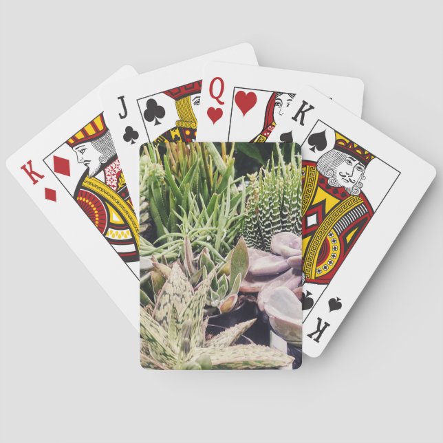Cactus Garden Spielkarten (Rückseite)