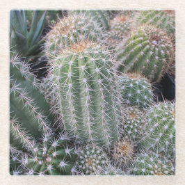Cactus Glass Untersetzer