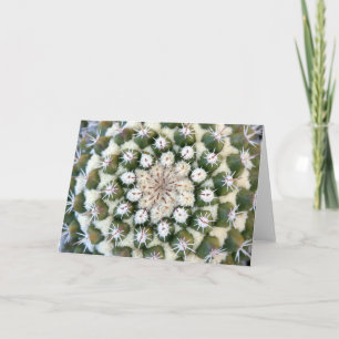 Cactus greeting card by Debra Lee Baldwin Karte