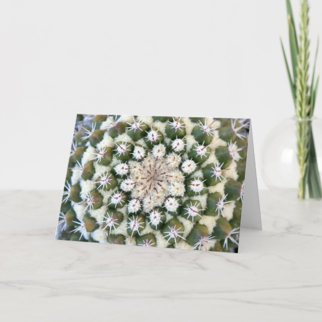 Cactus greeting card by Debra Lee Baldwin Karte (Vorderseite)