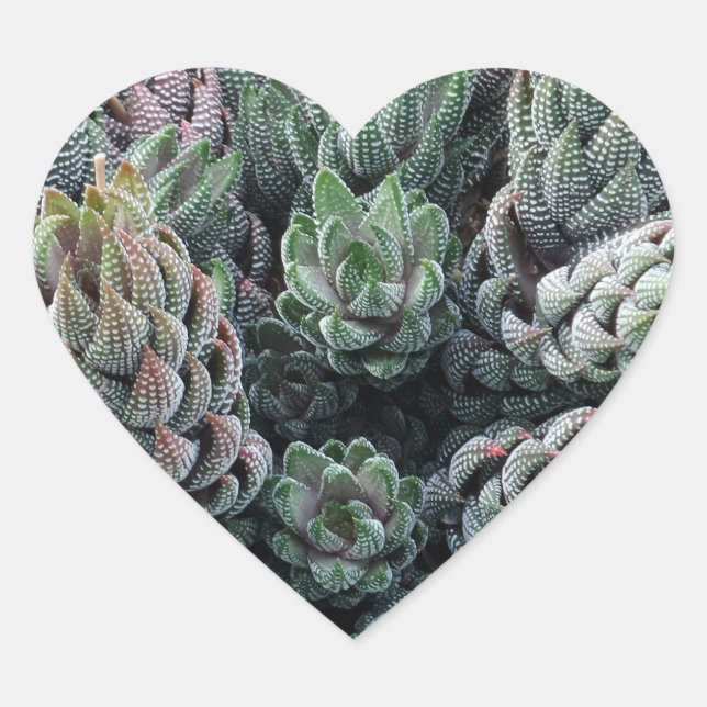 Cactus Heart Sticker (Vorderseite)