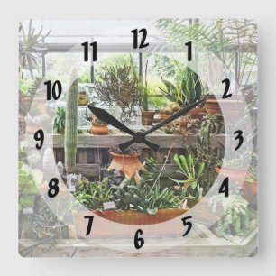 Cactus in Greenhouse Quadratische Wanduhr