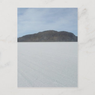 Cactus Island Postkarte