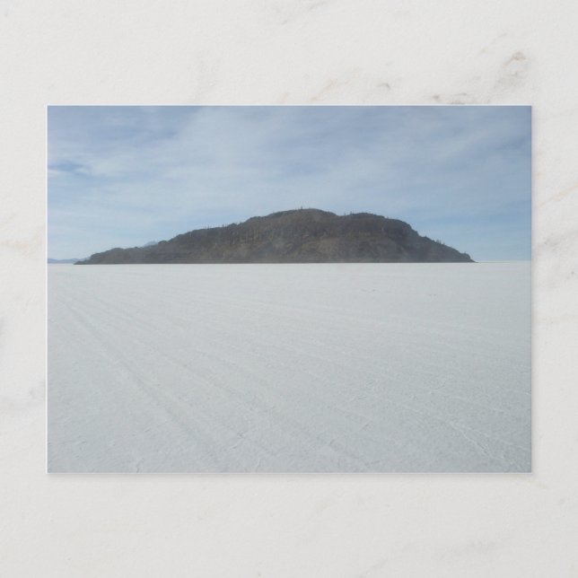 Cactus Island Postkarte (Vorderseite)