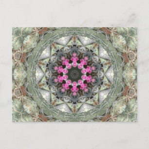 Cactus Kaleidoscope Postkarte