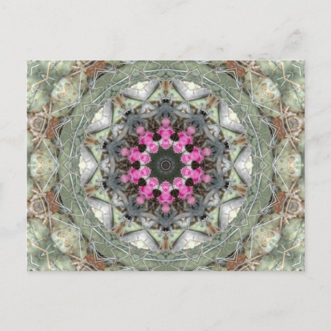 Cactus Kaleidoscope Postkarte (Vorderseite)
