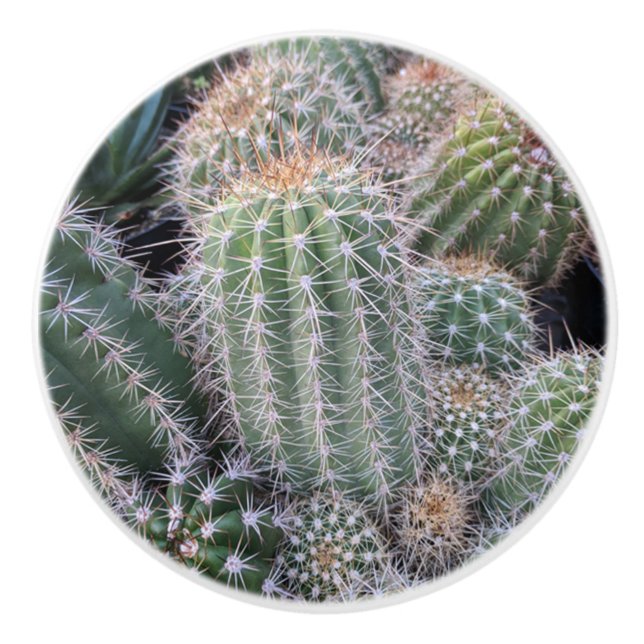 Cactus Keramik Pull Keramikknauf (Vorderseite)
