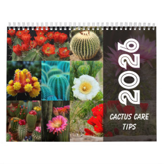Cactus  Monthly Desert Plant Inspiration Kalender