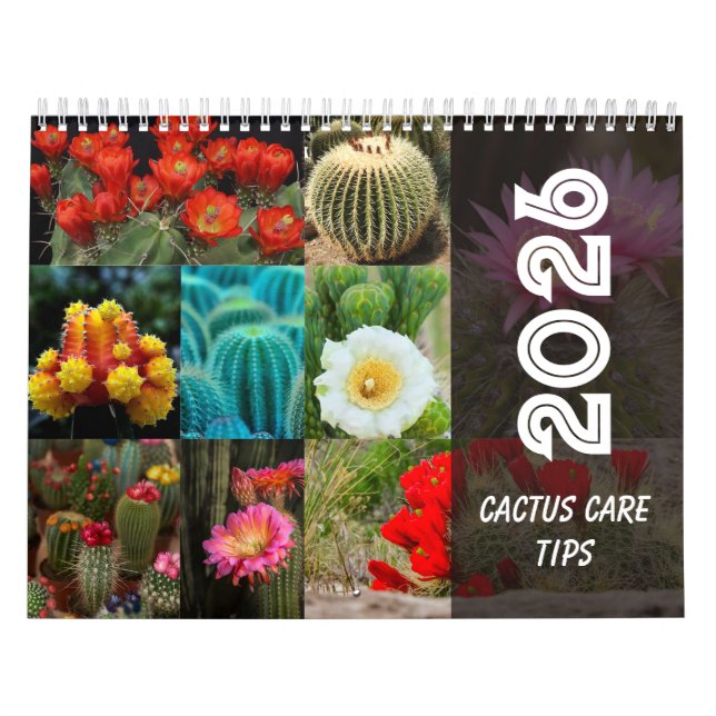 Cactus  Monthly Desert Plant Inspiration Kalender (Titelbild)