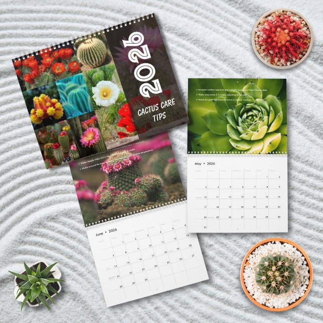 Cactus  Monthly Desert Plant Inspiration Kalender (Von Creator hochgeladen)