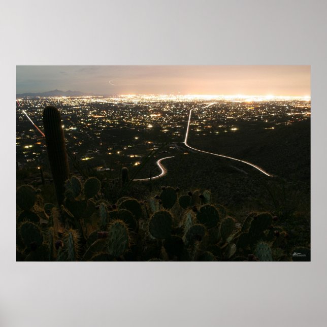 Cactus Night Lights Poster (Vorne)