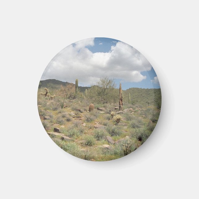 Cactus Pastoral Decorative Kühlschrank Magnet (Vorne)