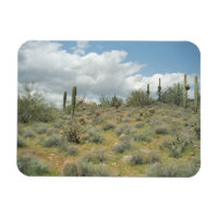Cactus Pastoral Decorative Western Foto Magnete