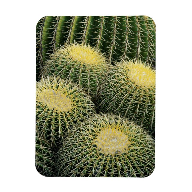 Cactus Pattern Magnet (Vertikal)