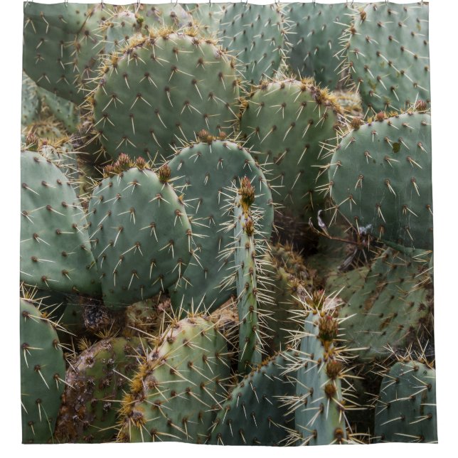 Cactus pattern: trendy Opuntia ficus-indica. Duschvorhang (Vorderseite)
