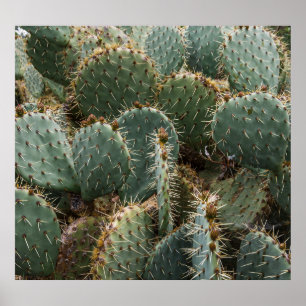 Cactus pattern: trendy Opuntia ficus-indica. Poster