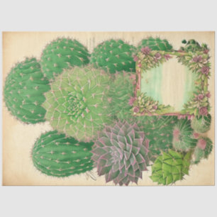 Cactus Pflanze Ephemera Collage Art Nr. 7 Seidenpapier