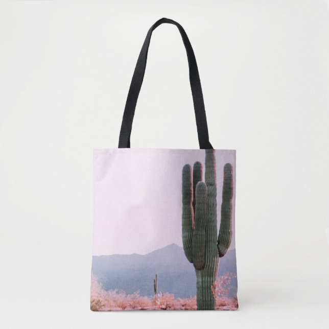 CACTUS-PFLANZE NEBEN ORANGE LEAFTER PFLANZE (Vorderseite)
