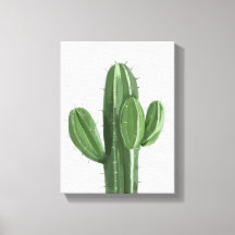 Cactus Plant Painting - Still-Life Illustration