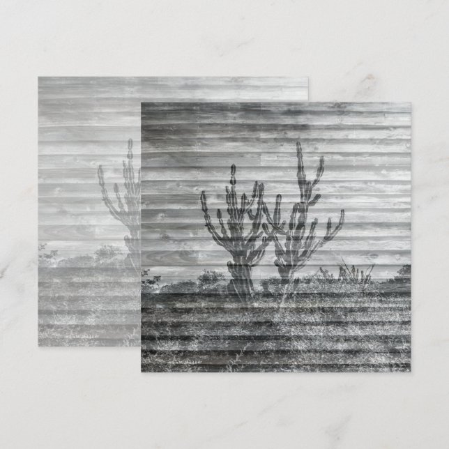 Cactus Plants On Wood Planks Black And White Photo Karte (Vorne/Hinten)