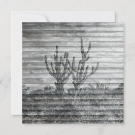 Cactus Plants On Wood Planks Black And White Photo Karte