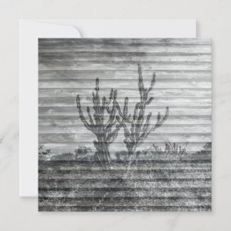 Cactus Plants On Wood Planks Black And White Photo Karte