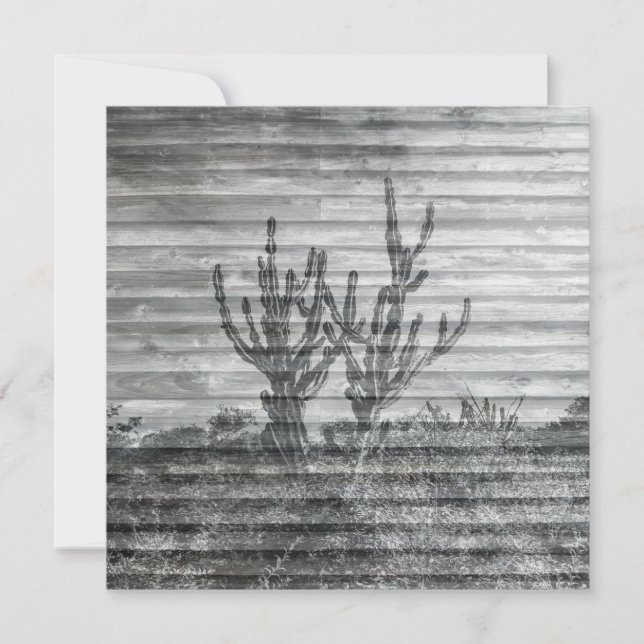 Cactus Plants On Wood Planks Black And White Photo Karte (Vorderseite)