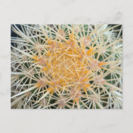 Cactus Postcard Postkarte