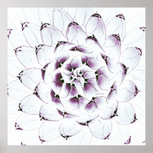 Cactus Poster/Print Poster