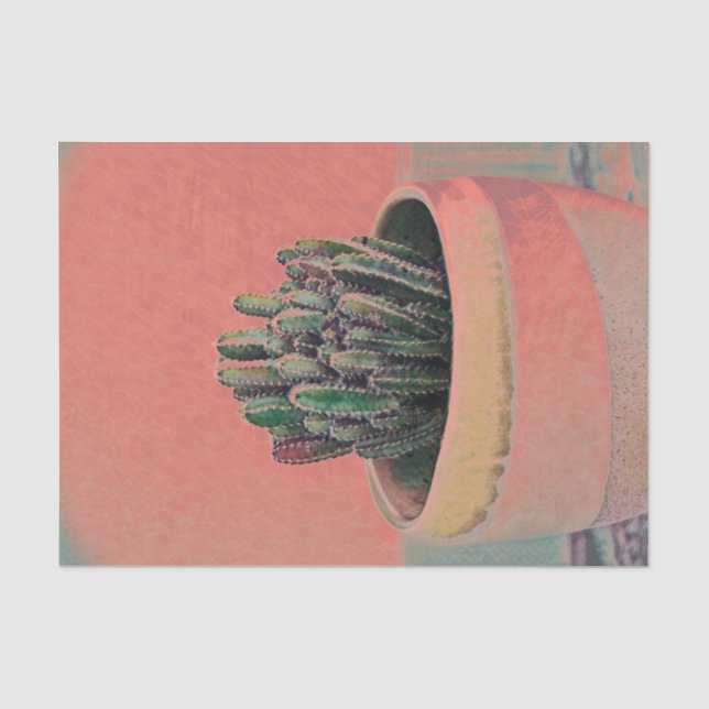 Cactus Potted House Pflanze Seidenpapier (Vorderseite)