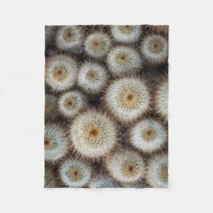 Cactus Prickly Fleecedecke