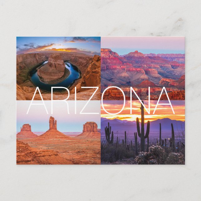 Cactus Red Rock Sunset Nature Landscapes Arizona Postkarte (Vorderseite)