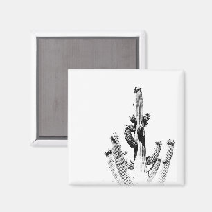 Cactus Schwarz-weiß Foto Art Einzigartige Blume Sp Magnet