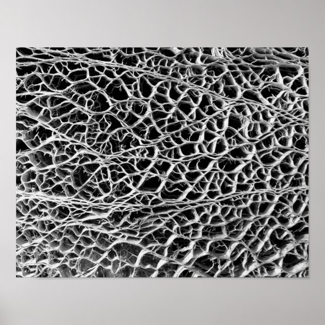 Cactus Skeleton Poster (Vorne)