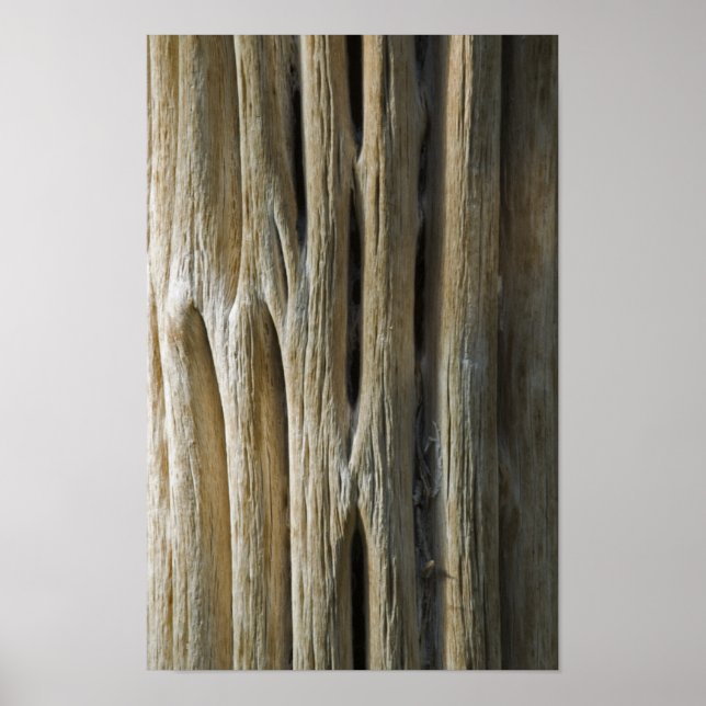Cactus Skeleton Poster (Vorne)